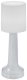 Беспроводной светильник Wiled WC450 (серебро)